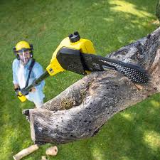 Best Hedge Trimming  in Simonton Lake, IN