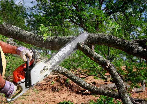 Best Soil Testing and Treatment  in Simonton Lake, IN